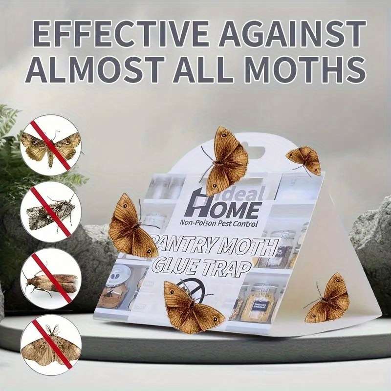 Fruit Fly Traps Quantity 2Pcs