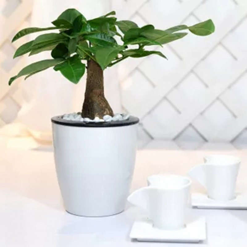 Flowerpot Items M7