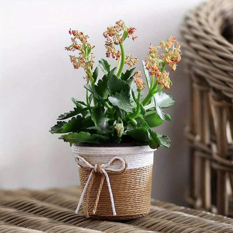 Flowerpot Color Round 10.5*9Cm