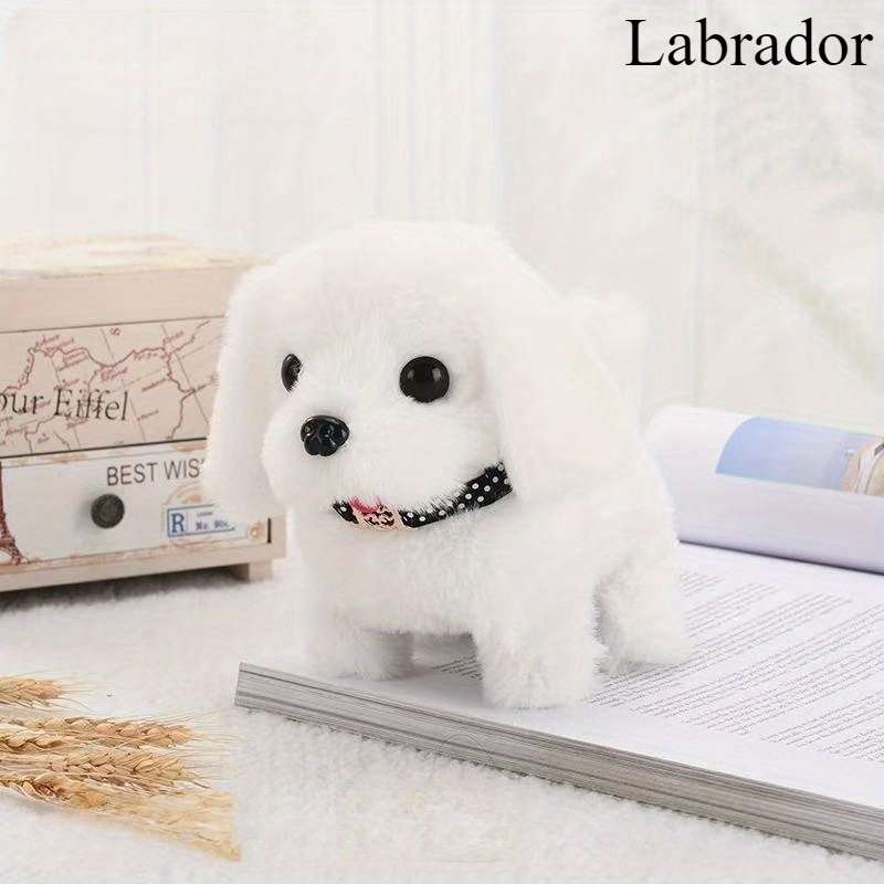 Plush Toys Color Teddy