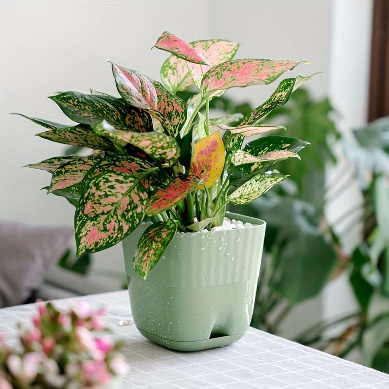 Flowerpot  6 Piecescolor Green
