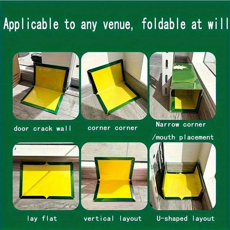 Fruit Fly Traps Quantity 3Pcs