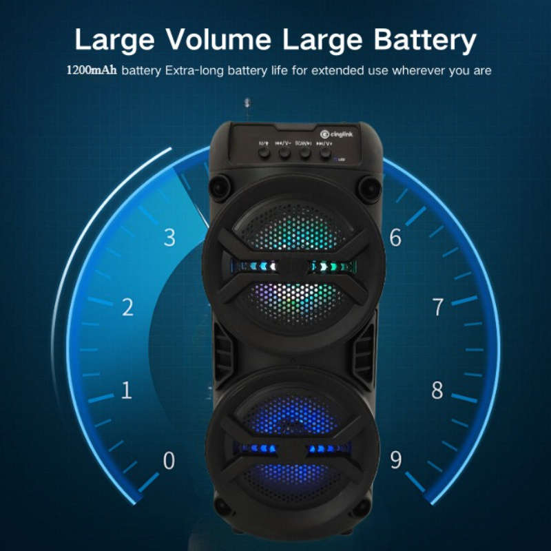 Speaker