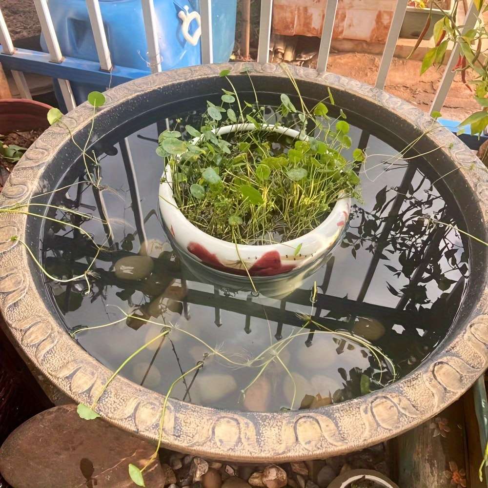 Flowerpot Quantity 1 Piece   Fg891