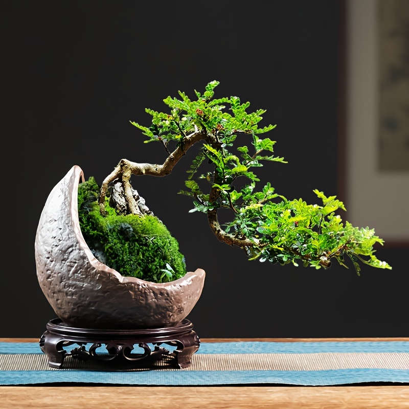 Flowerpot Style 1 Moon Shape