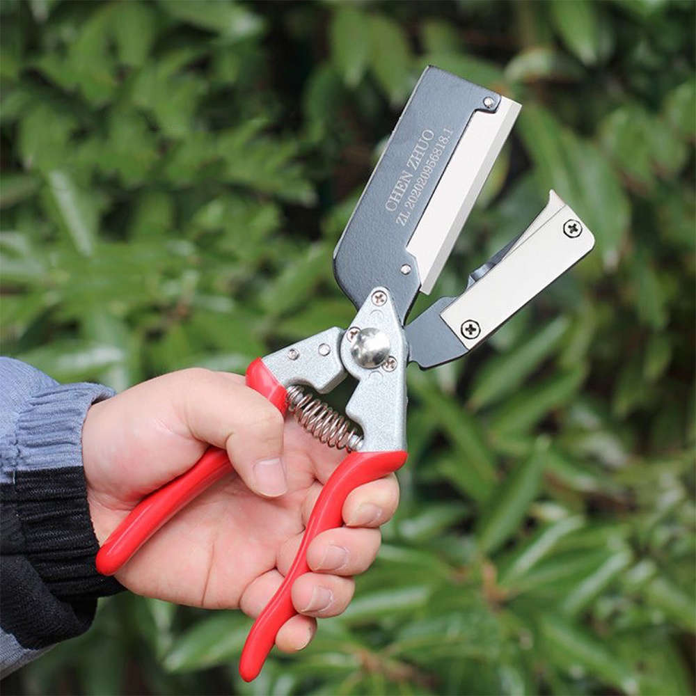 Pruning Shears Quantity 6Pcs