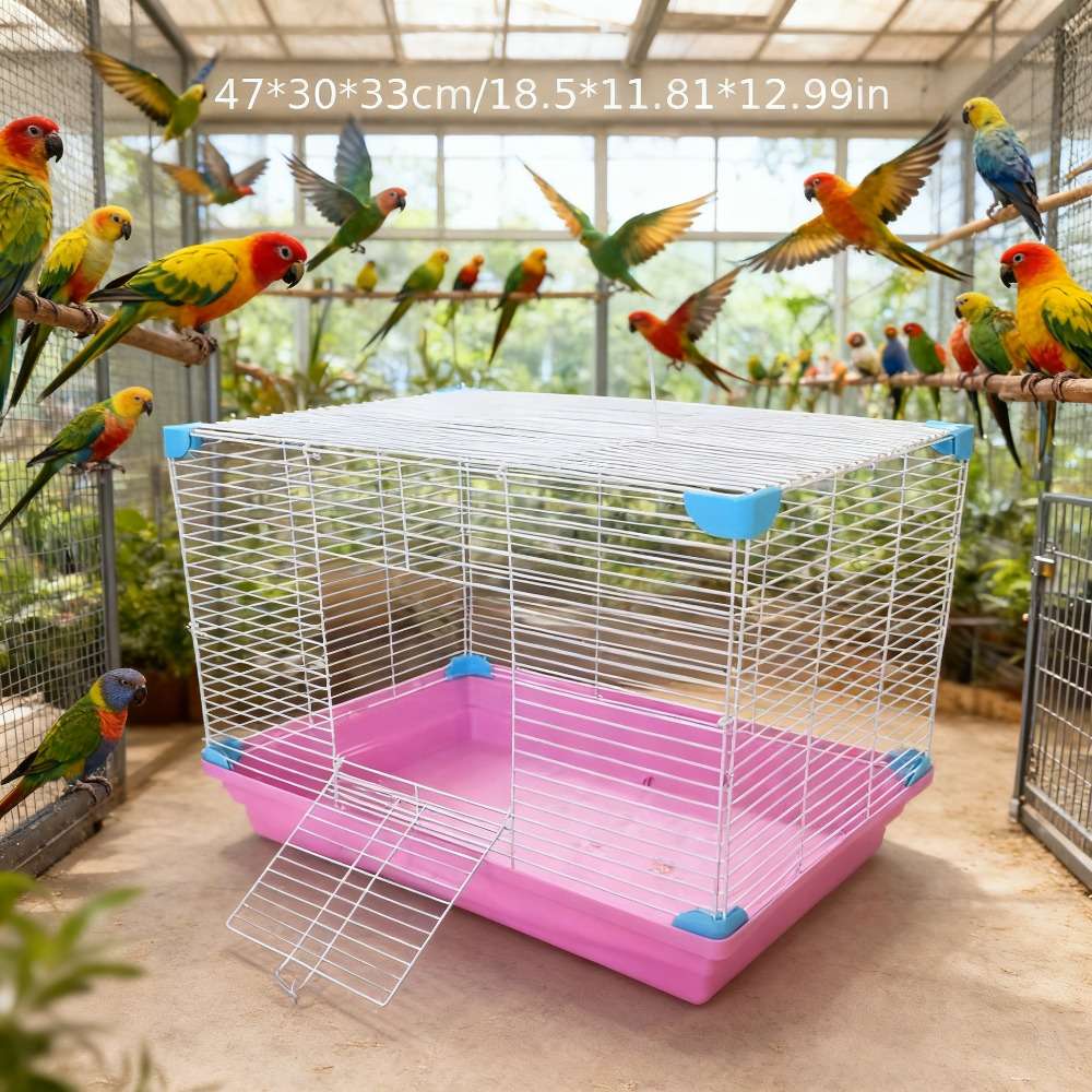 Birdcage Color Random Color