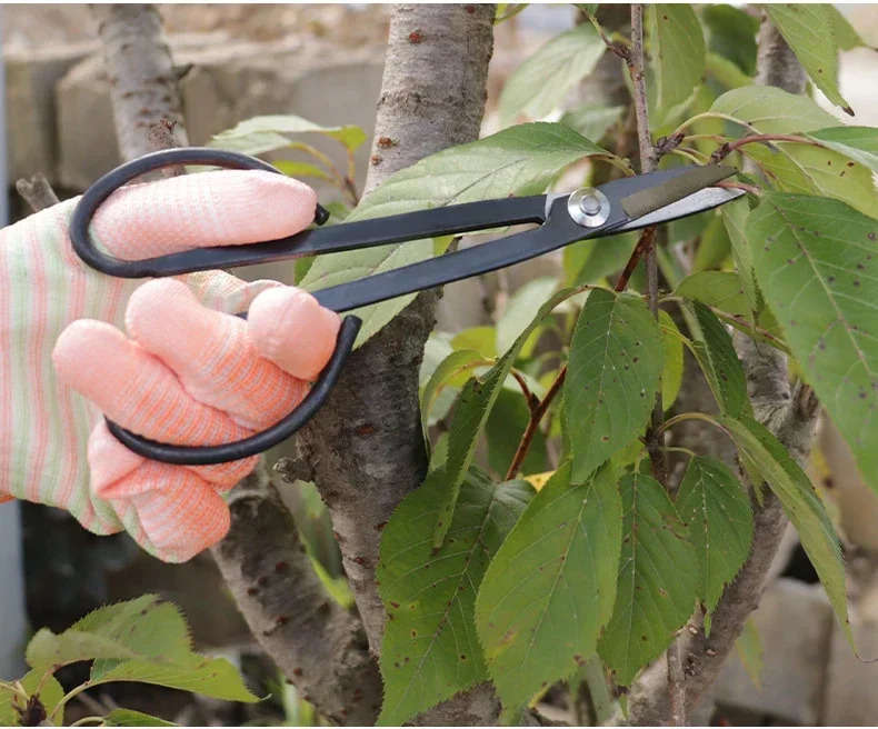 Garden Supplies Color 18.5Cm Garden Shears