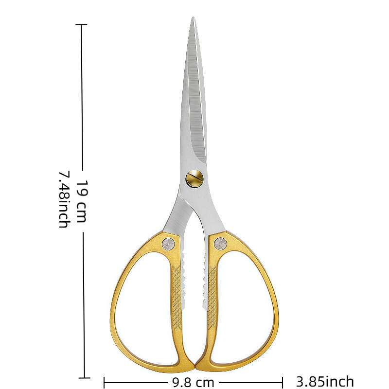 Scissors Color 2Pcs