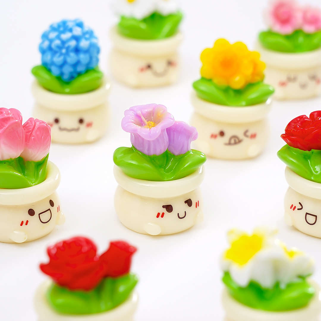 Flowerpot Quantity 2Pcs  Random Delivery