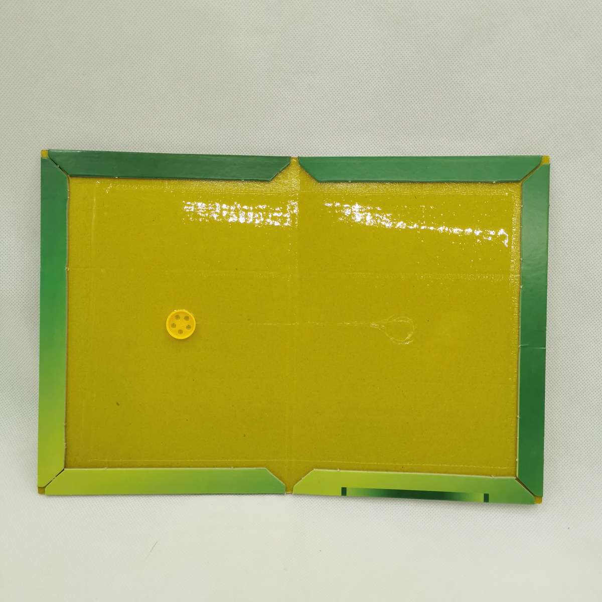 Fruit Fly Traps Quantity 5Pcs