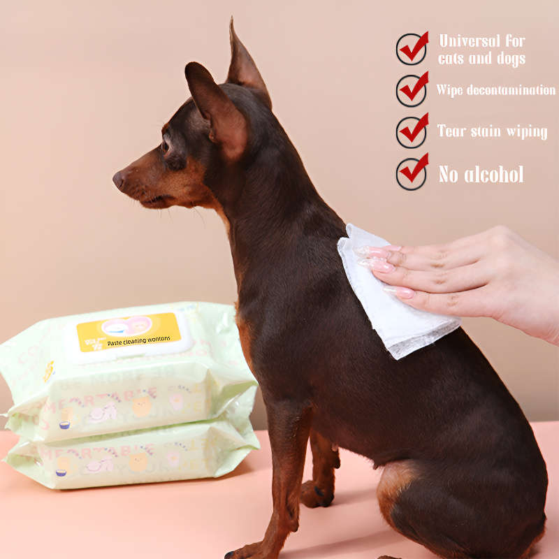 Wet Wipes Items 2Packs160 Sheets