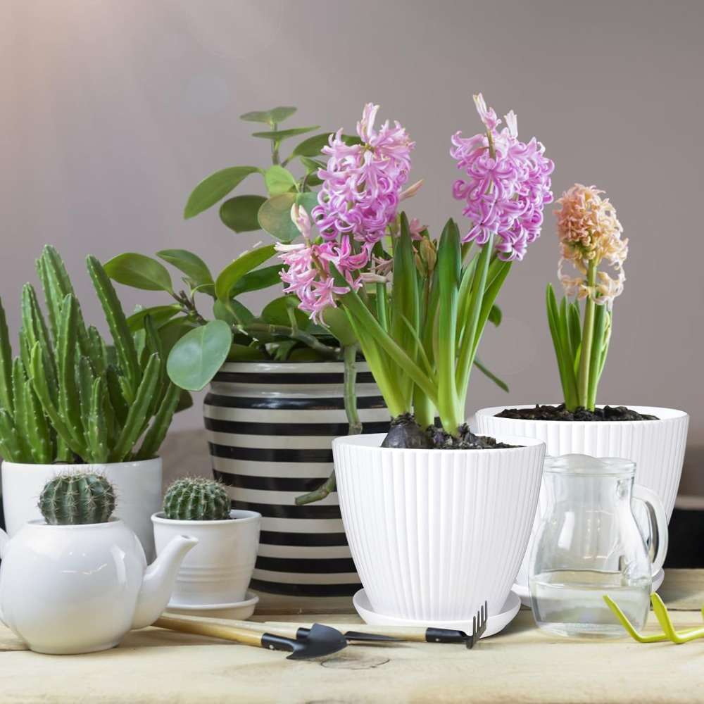 Flowerpot Quantity 6 Pcs
