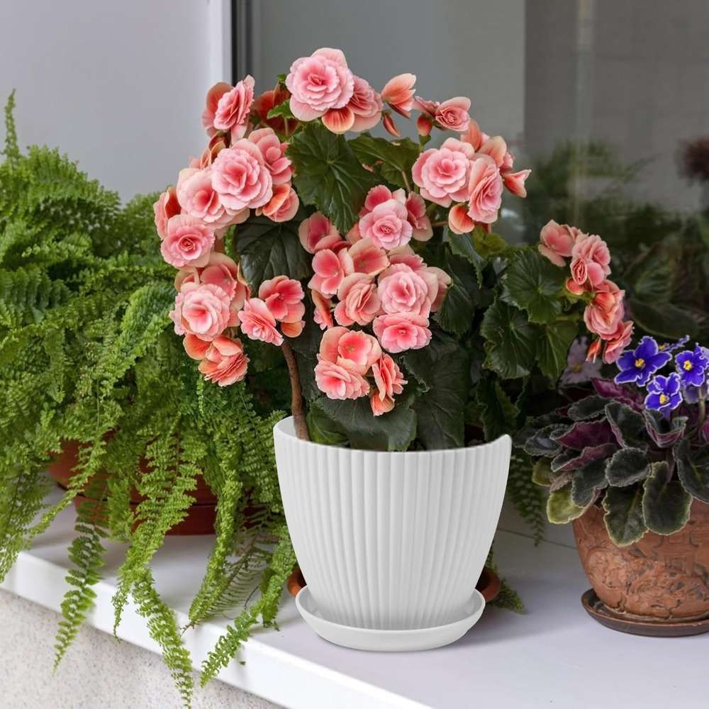Flowerpot Quantity 6 Pcs