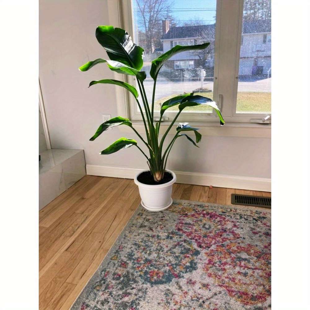 Flowerpot Quantity 20.32 Cm 5 Pack