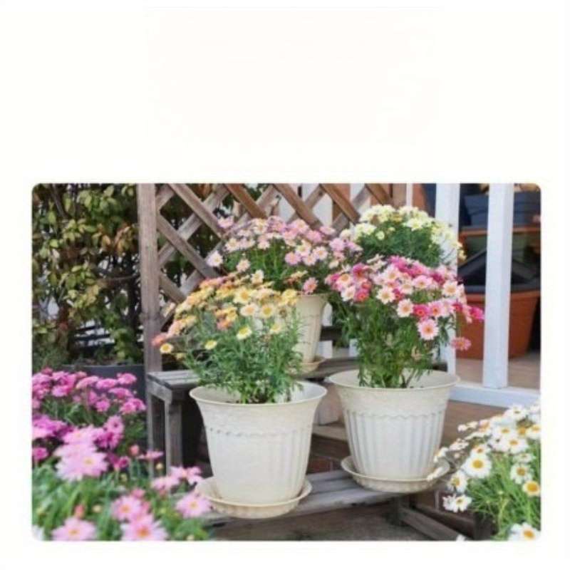 Flowerpot Color Milan Yellow Size5 Inch Basin With Support