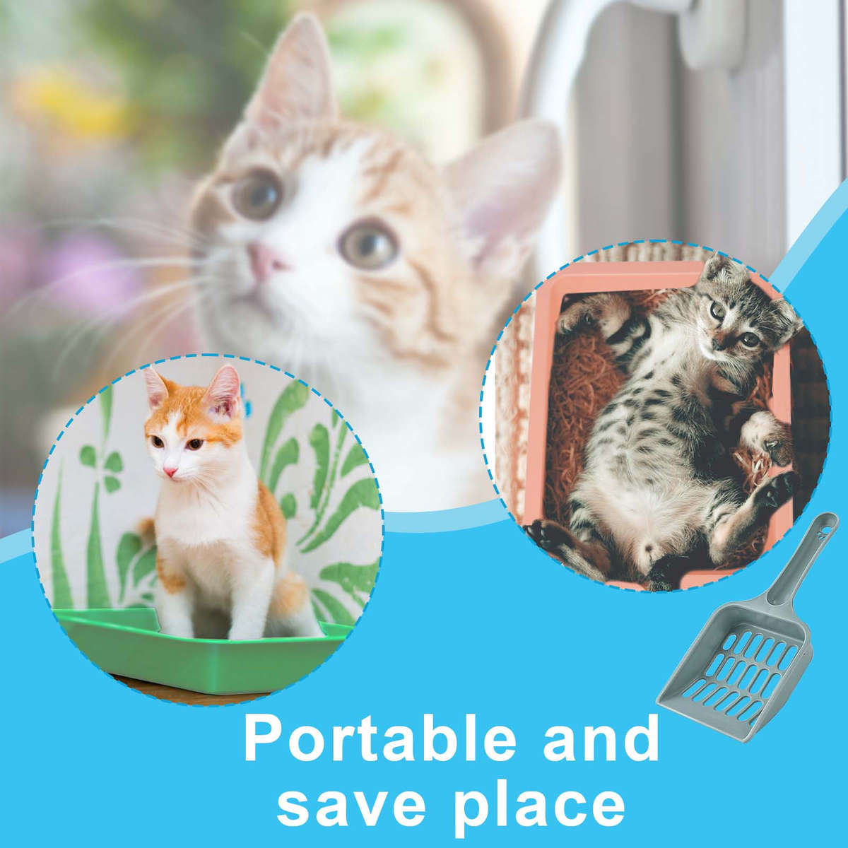 Pet supplies Quantity 5pcs