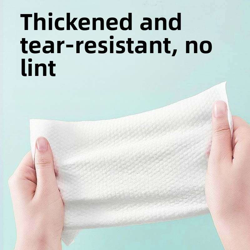 Wet Wipes Quantity 1 Pack 30 Puffs