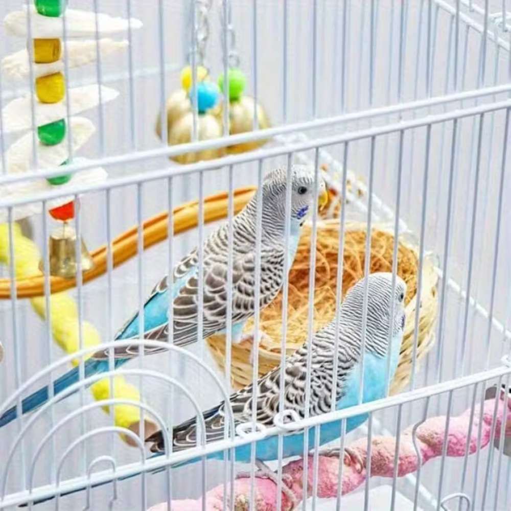 Birdcage Quantity 5Pcs