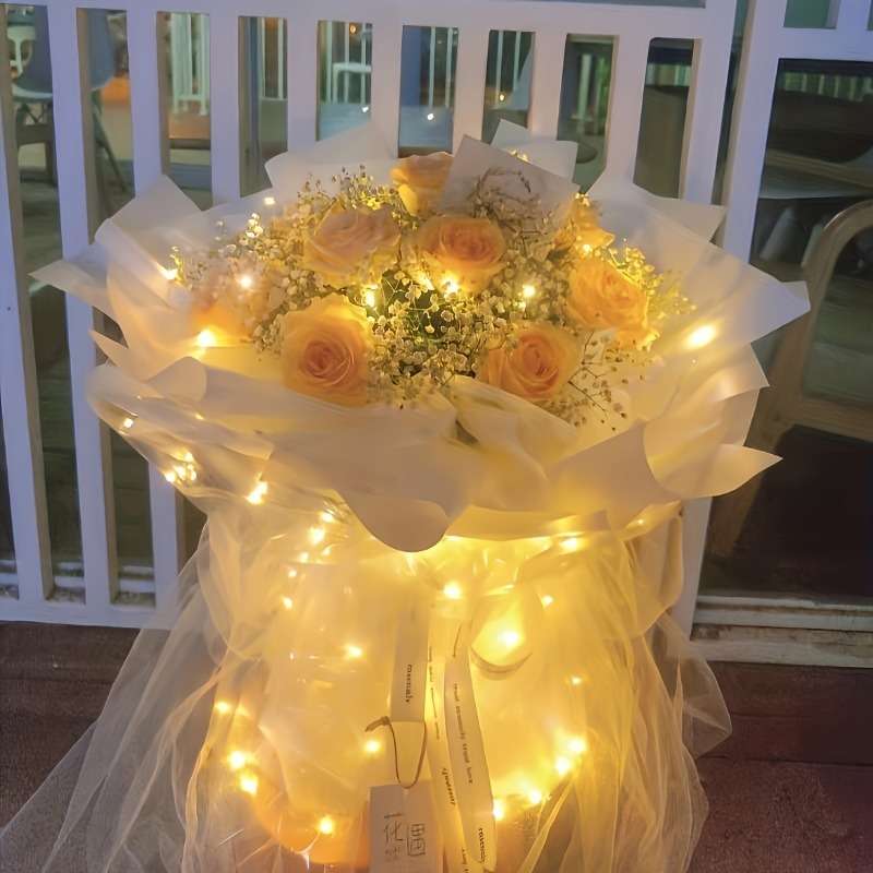 Christmas Lights White Size 3M