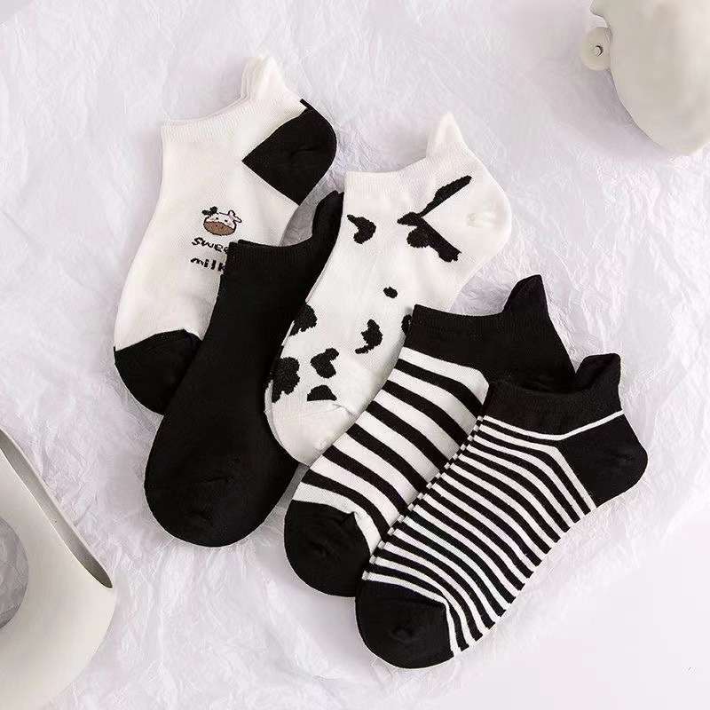 Women S Socks Color Assorted Varieties Quantity 5 Pairs