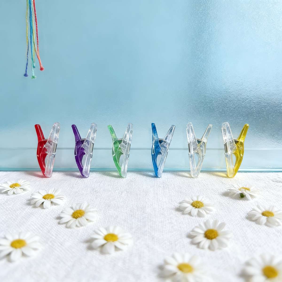 Clip Assorted Varieties Quantity 6 Pieces