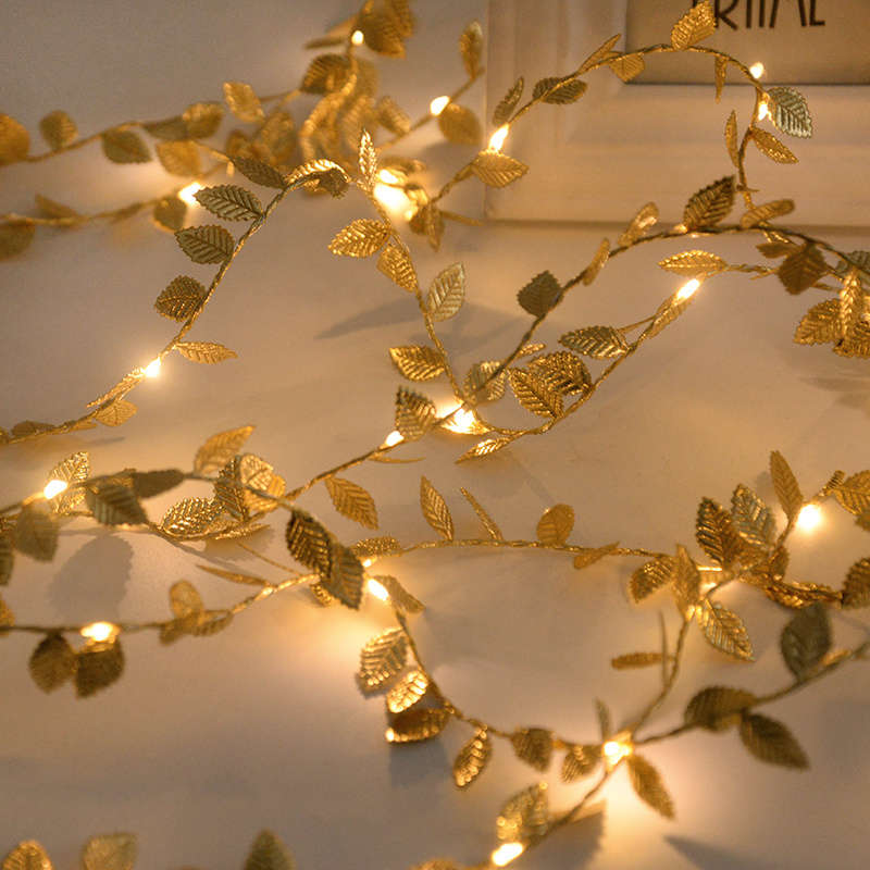 String Lights Color 3M 118.11Inch