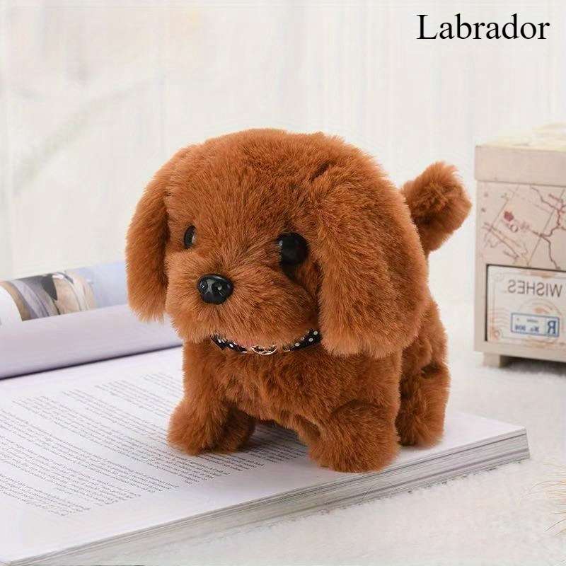 Plush Toys Color Teddy