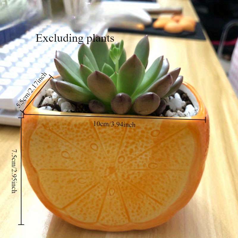 Flowerpotsize 10X5 5X7 5Cmcolor Apple