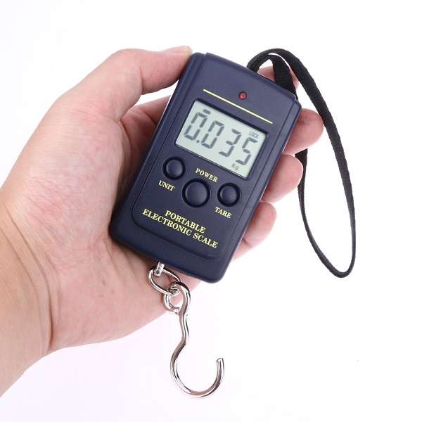 10g Mini Digital Fishing Scale Travel Weighting Steelyard Hanging Electronic ... without backlight
