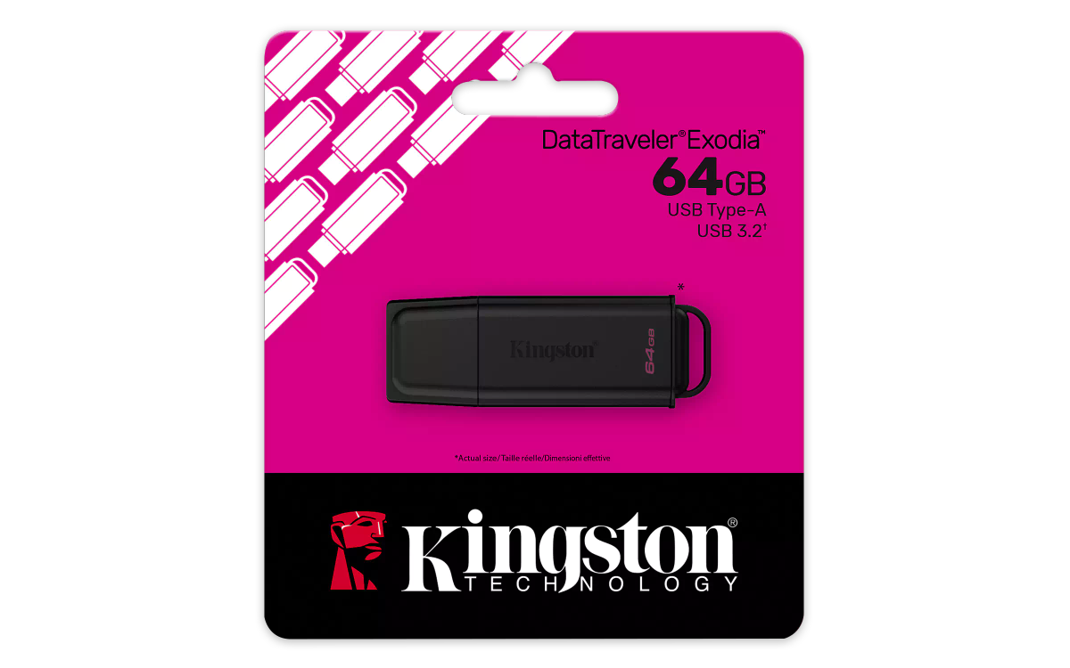 Kingston dtXG2/64G eXodia G2