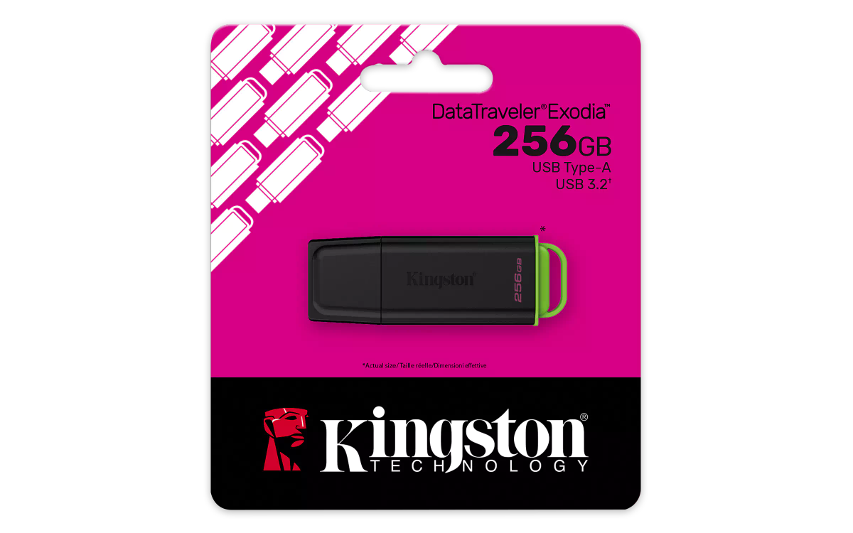 Kingston dtXG2/256 eXodia G2