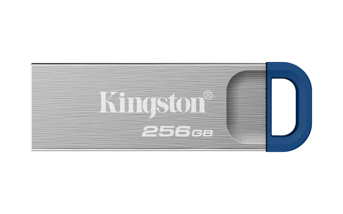 Kingston knG2/256 Kyson G2 u3