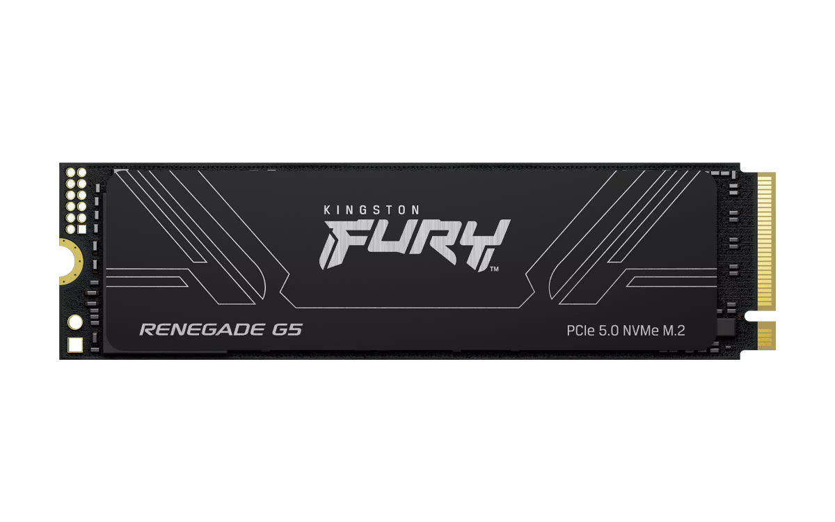 Kingston nGff 8T FurY Reneg G5