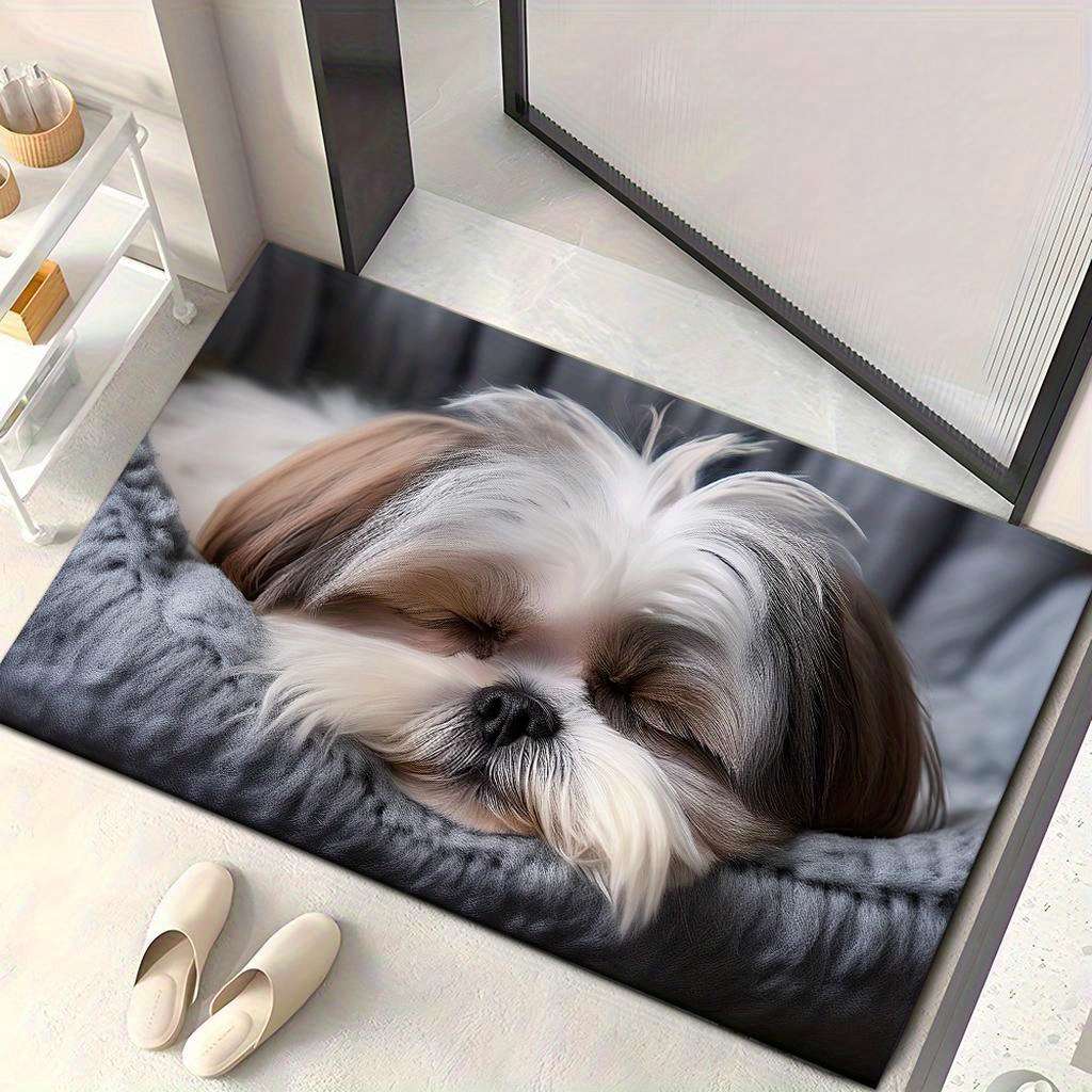 1Pc 23.62x35.43inch 60x90cm Floor Mat