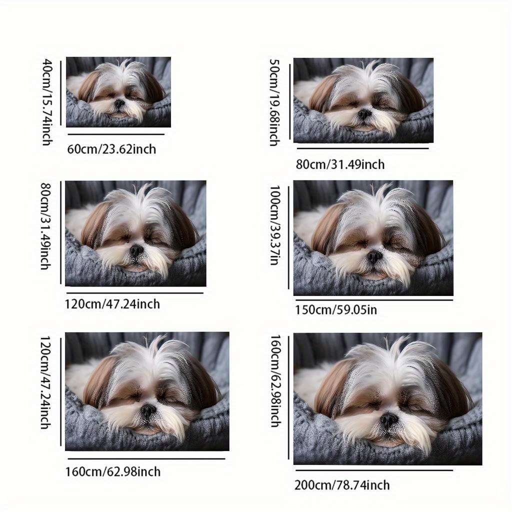 1Pc 23.62x35.43inch 60x90cm Floor Mat