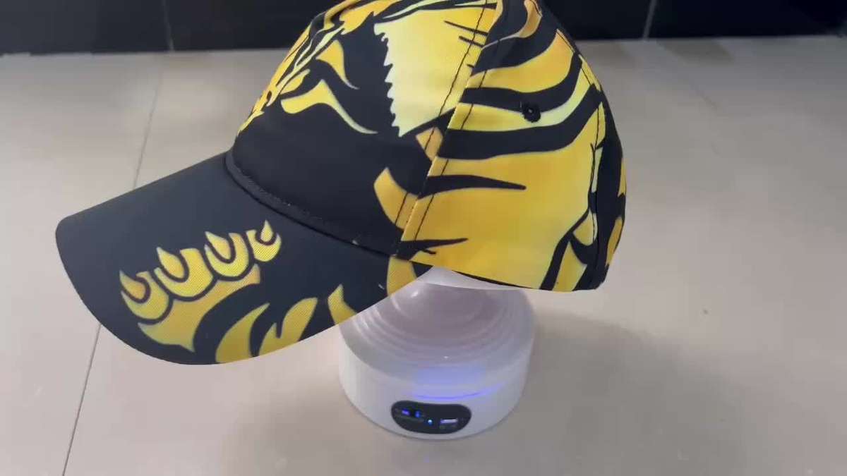 of a Bold Tiger Design Baseball Cap Adjustable