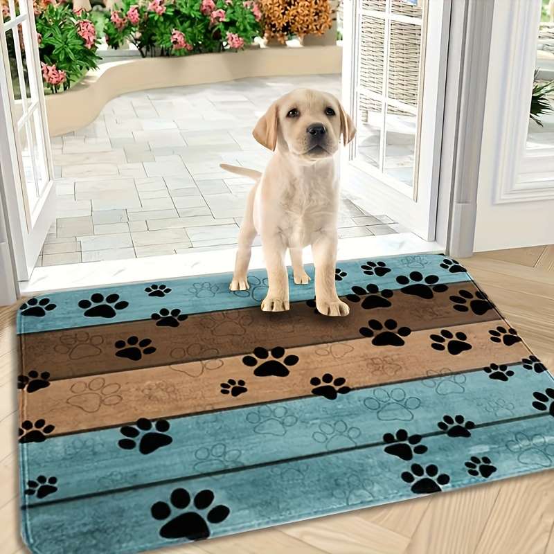 1Pc 50x80cm Floor Mat