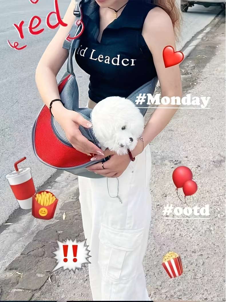 Redsize L Size 42cmx26cm Pet Bag