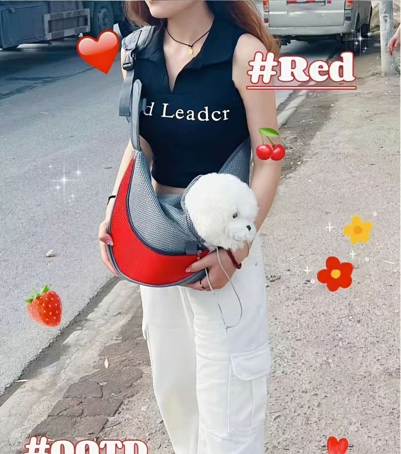 Redsize L Size 42cmx26cm Pet Bag