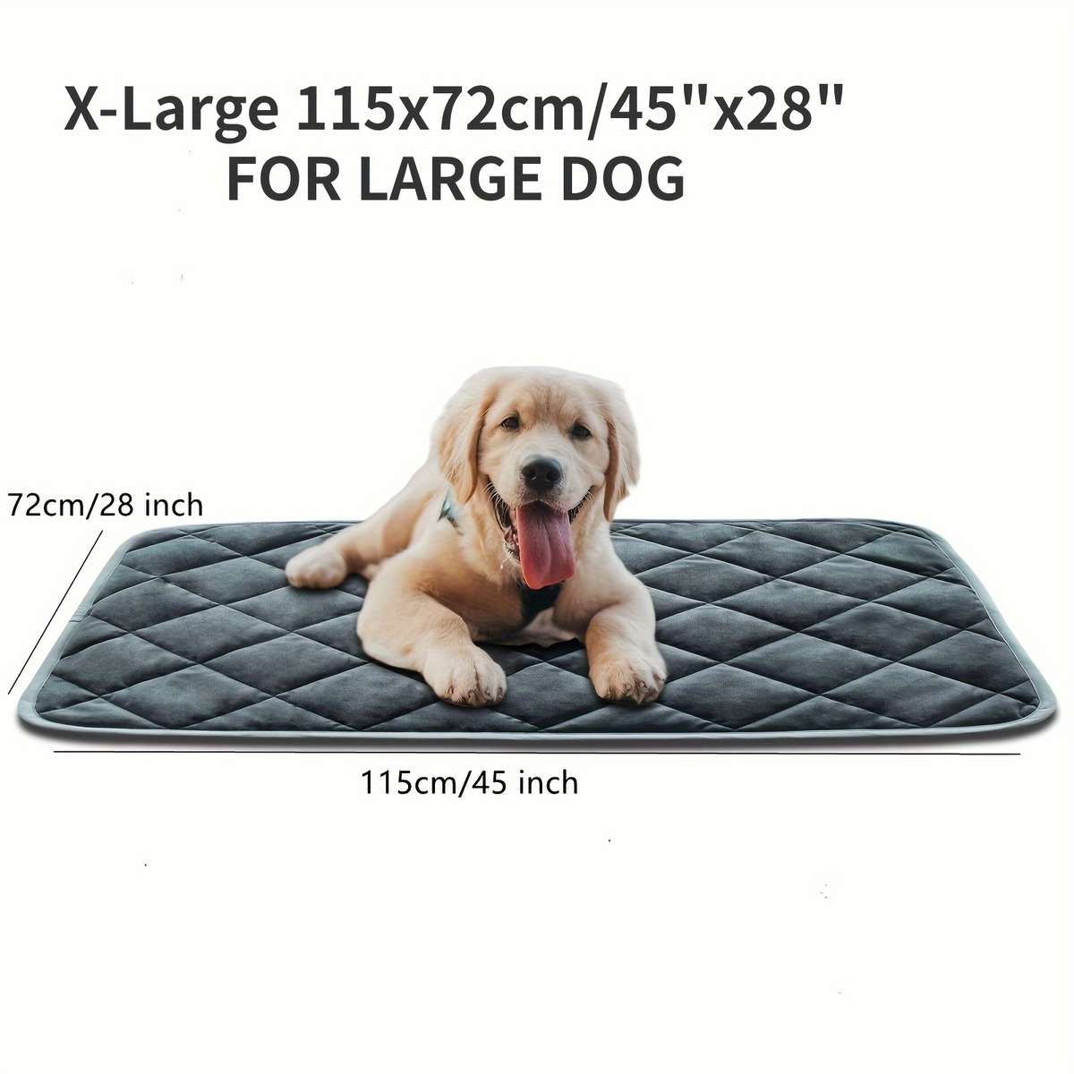 Pet Mat Blue Size Medium 48x70cm 19x28Inch