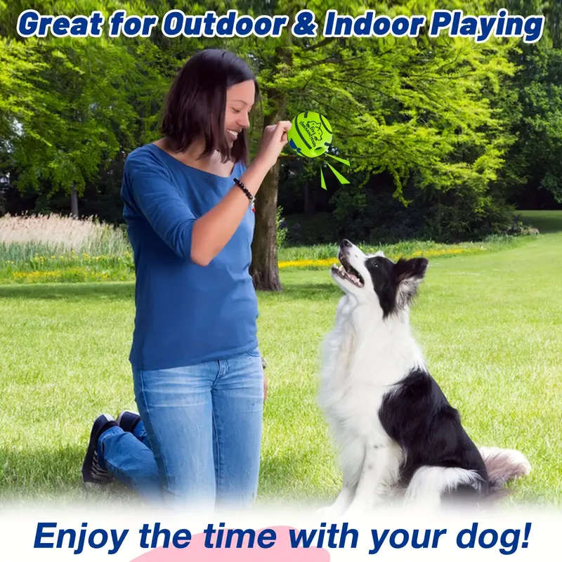 Dog Educational Toys