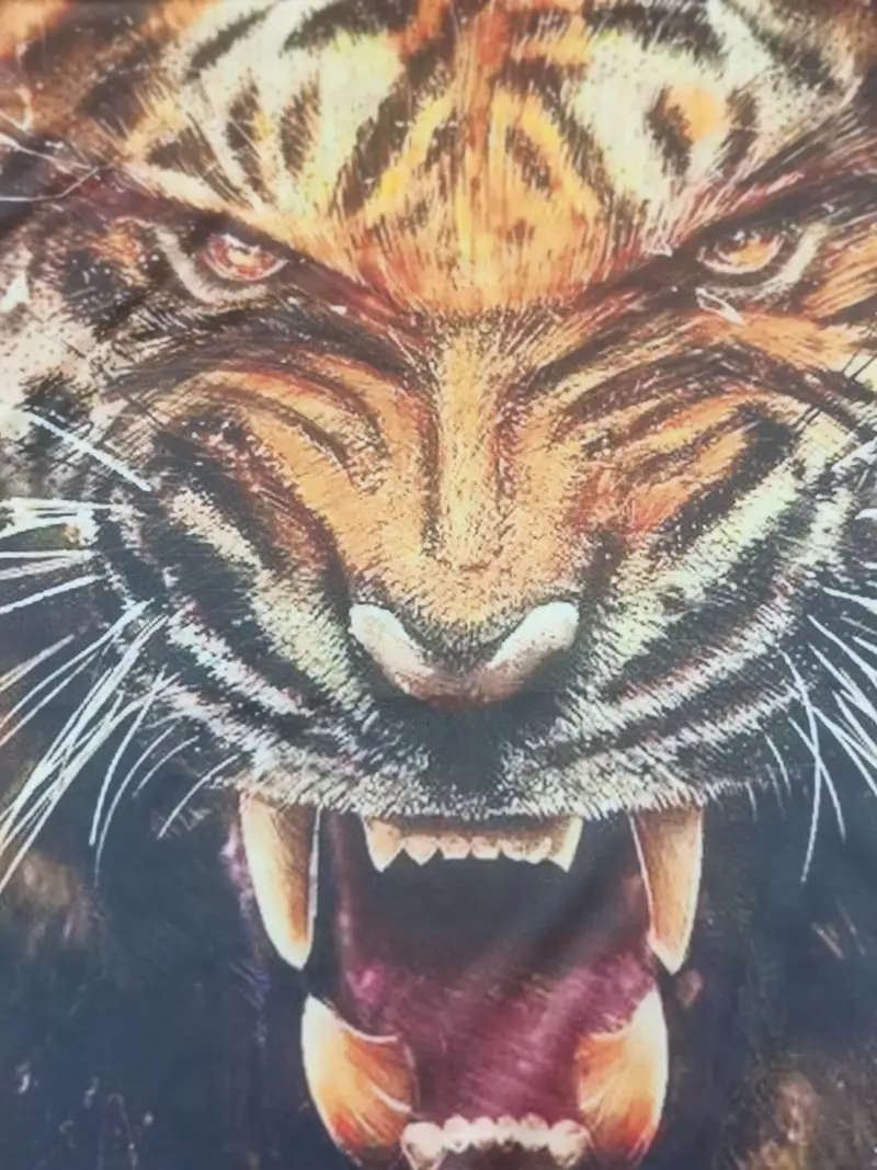 Men's T-Shirt, Short Sleeve, SIZE LARGE