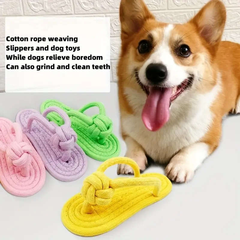 Pet Toy