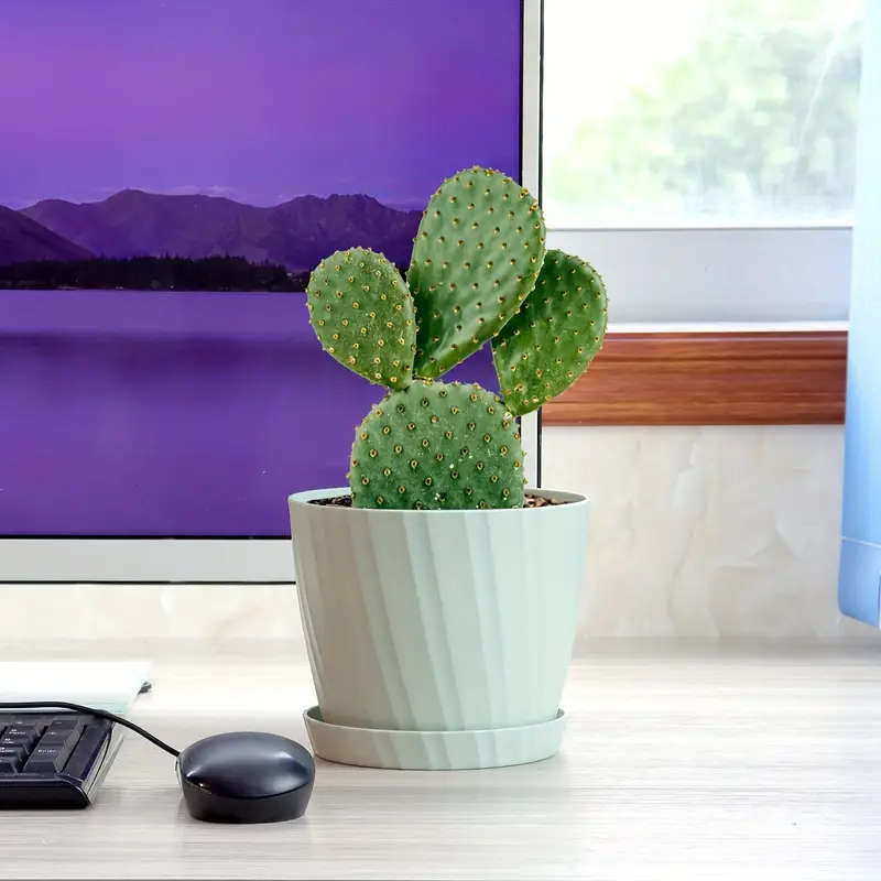 6 6-Inch Garden Pots White Pitting