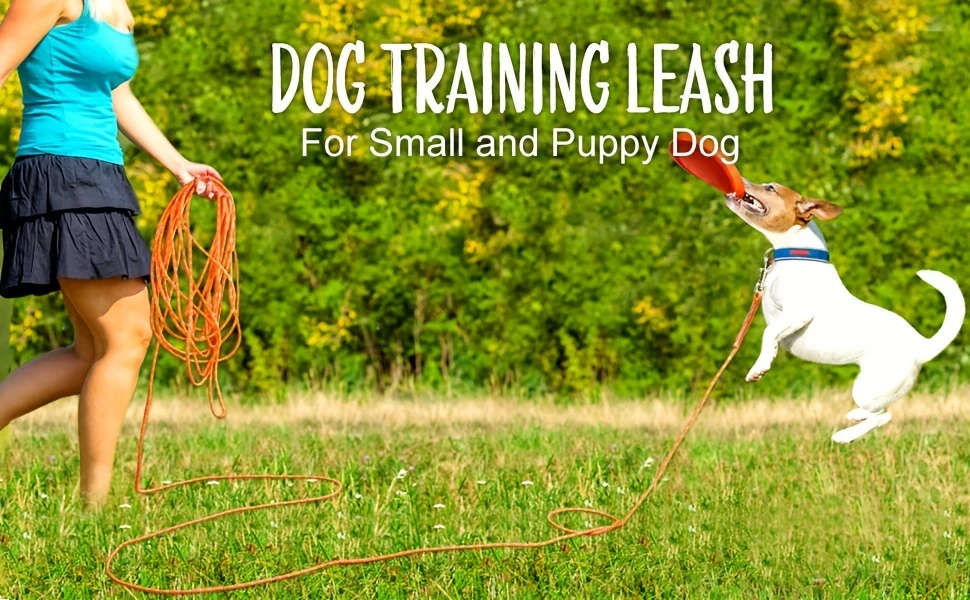 Reflective Long Leash