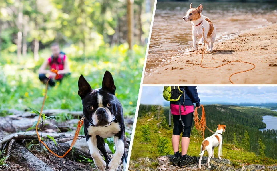 Reflective Long Leash