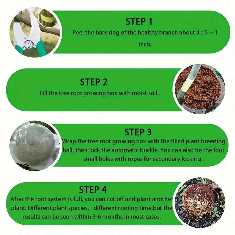 5pcs Plant Root Grow Box