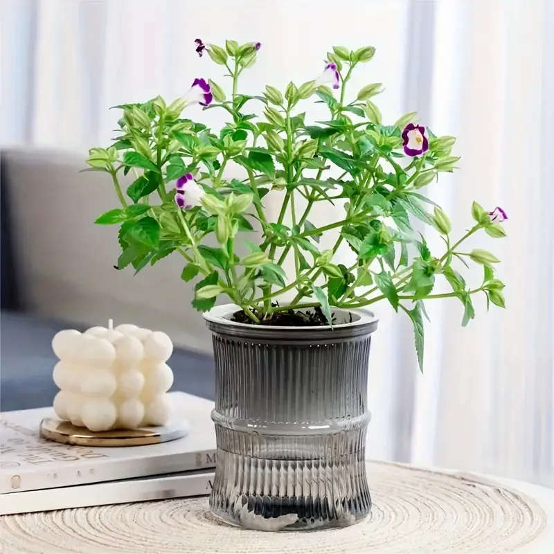 4-Pack Of Modern Self-Watering Plastic Bamboo Flower Pots Multicolour