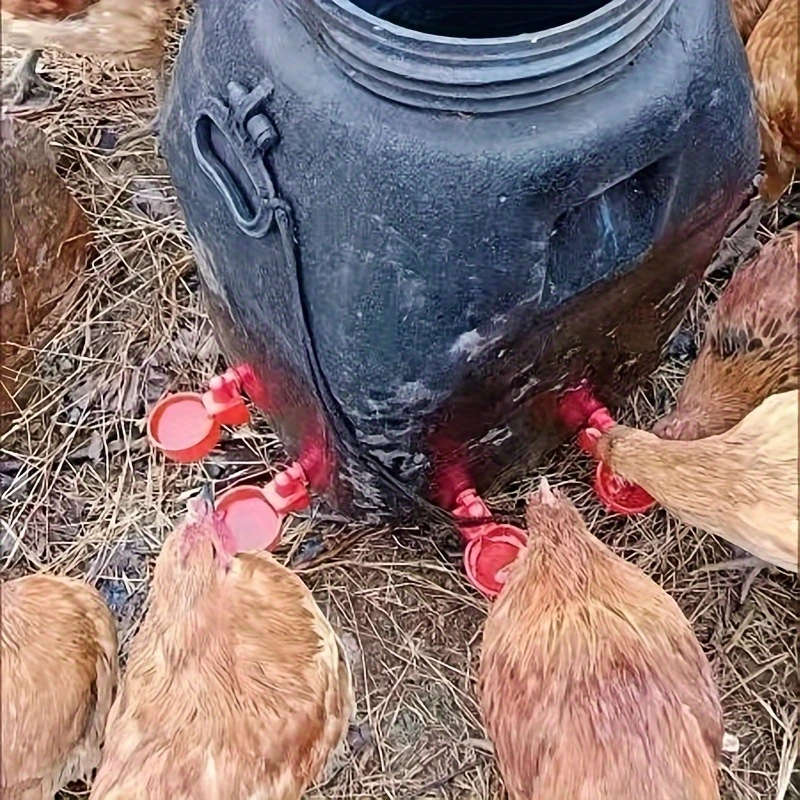 5-Pack Large Blue Automatic Chicken Drinkers